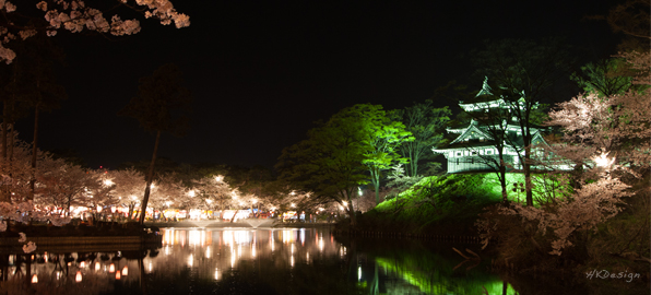 高田公園夜桜