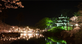 上越市ホームページ制作 写真撮影 HKDesign撮影の高田公園夜桜01