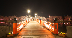 上越市ホームページ制作 写真撮影 HKDesign撮影の高田公園夜桜03